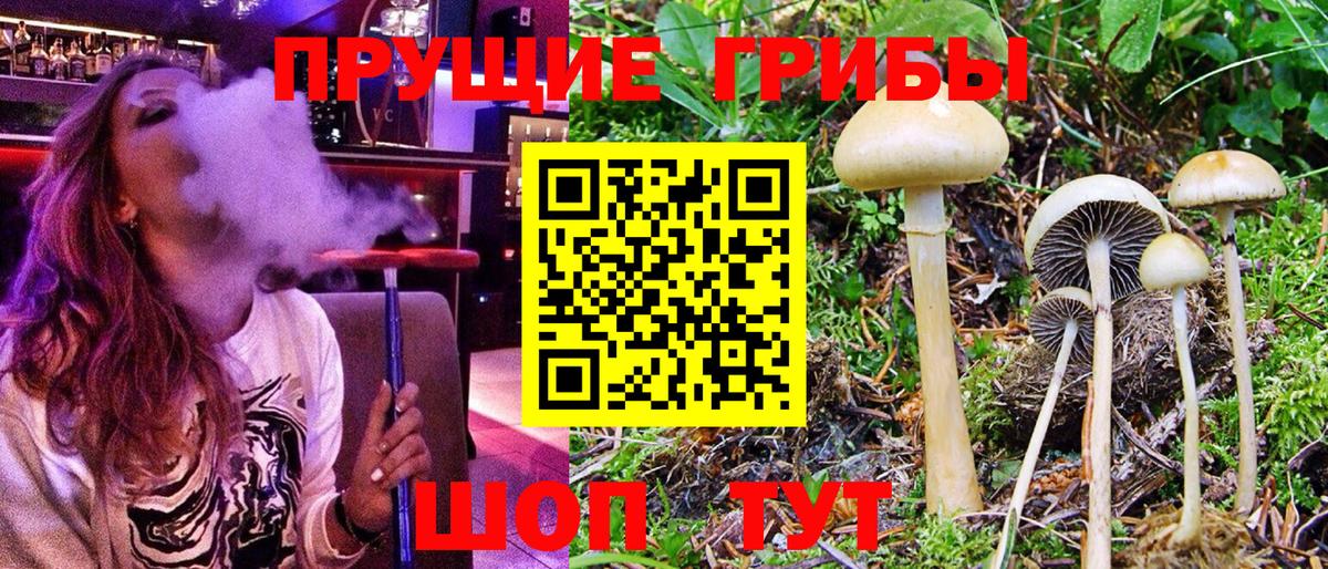 Галлюциногенные грибы Psilocybe  Псилоцибиновые грибы мицелий  Вход с VPN  Архангельск 