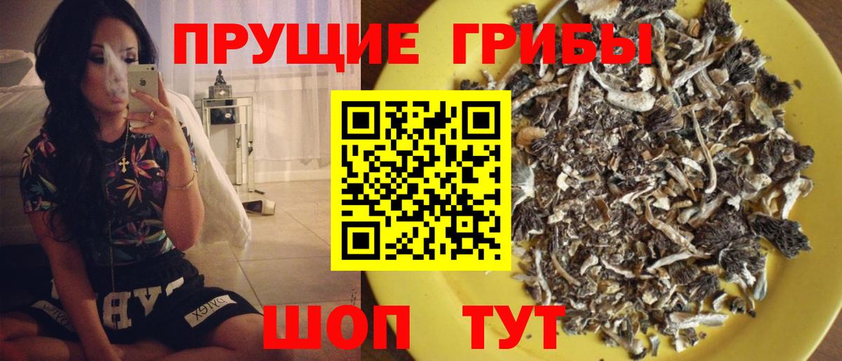 Псилоцибиновые грибы мицелий Архангельск
